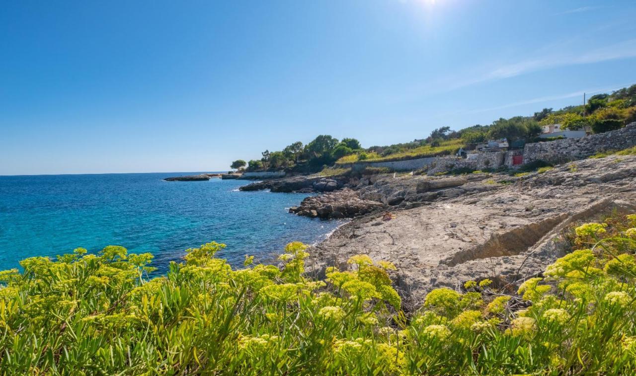 Un' Altalena Sul Mare - Accesso Diretto In Spiaggia Marittima Bagian luar foto